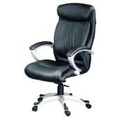 Dc9102 - Director Chair